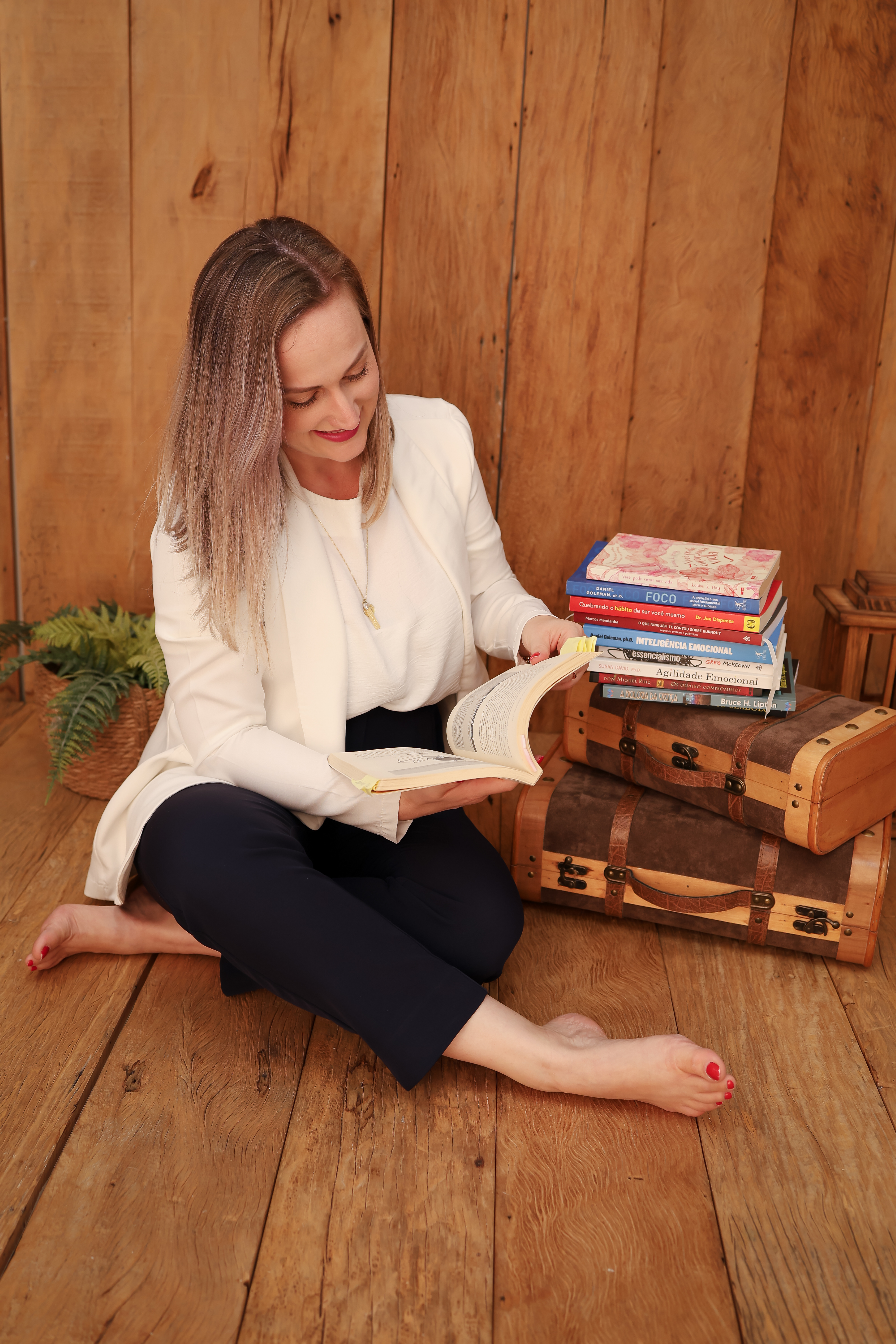 Livro Planner de Fran Heidemann